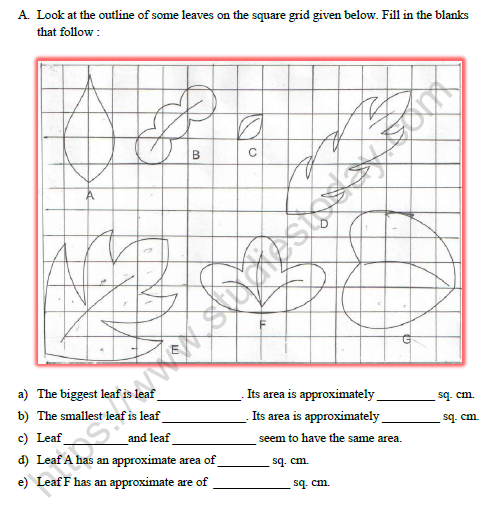 How Many Squares Worksheet Class 5